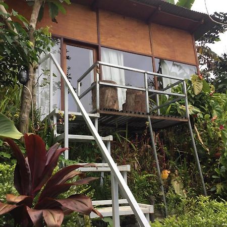 jungleadventure cabin camping Bedugul  Exterior foto