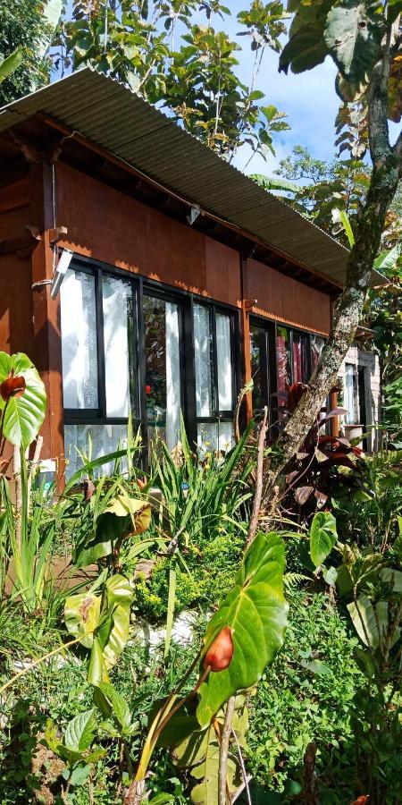 jungleadventure cabin camping Bedugul  Exterior foto
